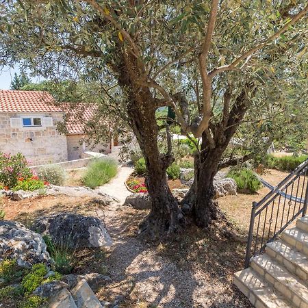 Olive Garden Διαμέρισμα Ston Εξωτερικό φωτογραφία