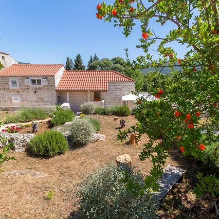 Olive Garden Διαμέρισμα Ston Εξωτερικό φωτογραφία