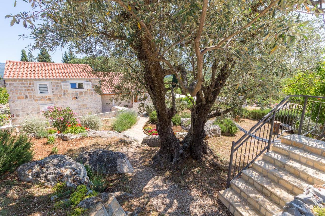 Olive Garden Διαμέρισμα Ston Εξωτερικό φωτογραφία