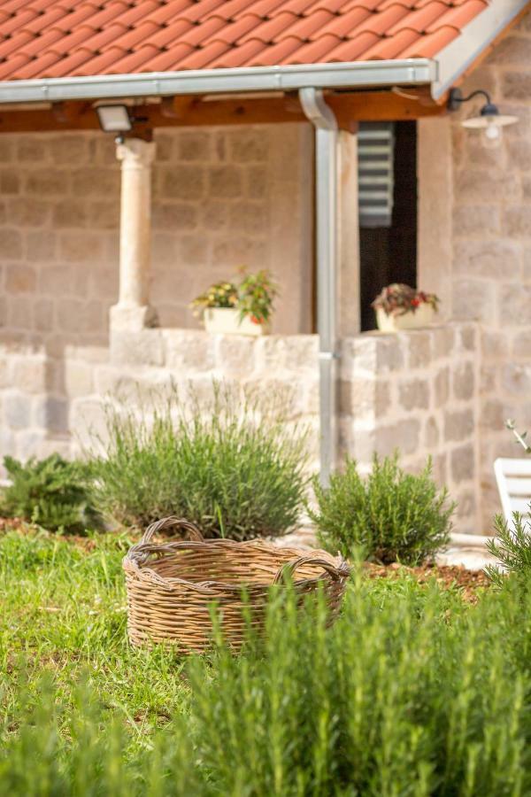 Olive Garden Διαμέρισμα Ston Εξωτερικό φωτογραφία