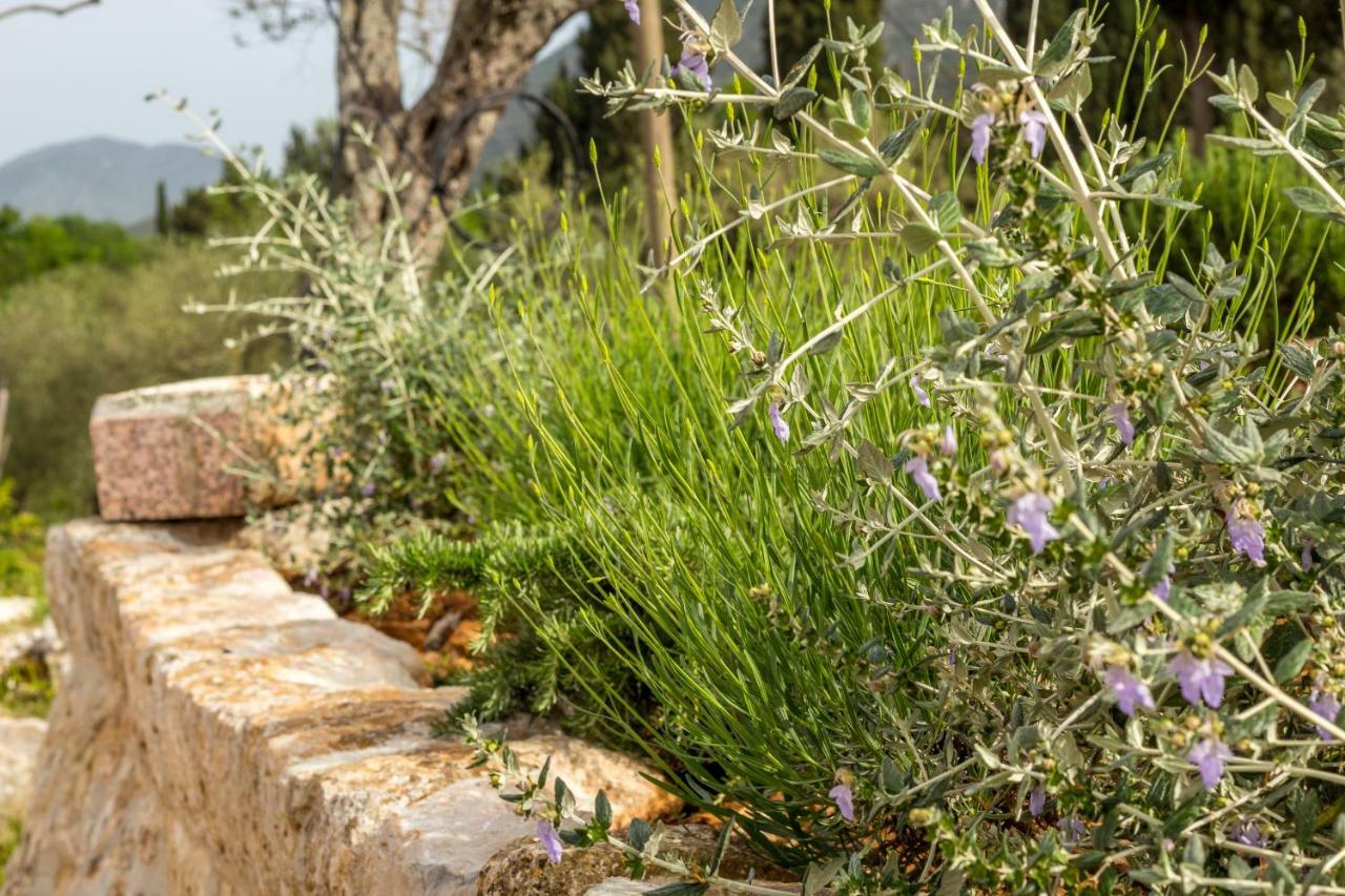 Olive Garden Διαμέρισμα Ston Εξωτερικό φωτογραφία