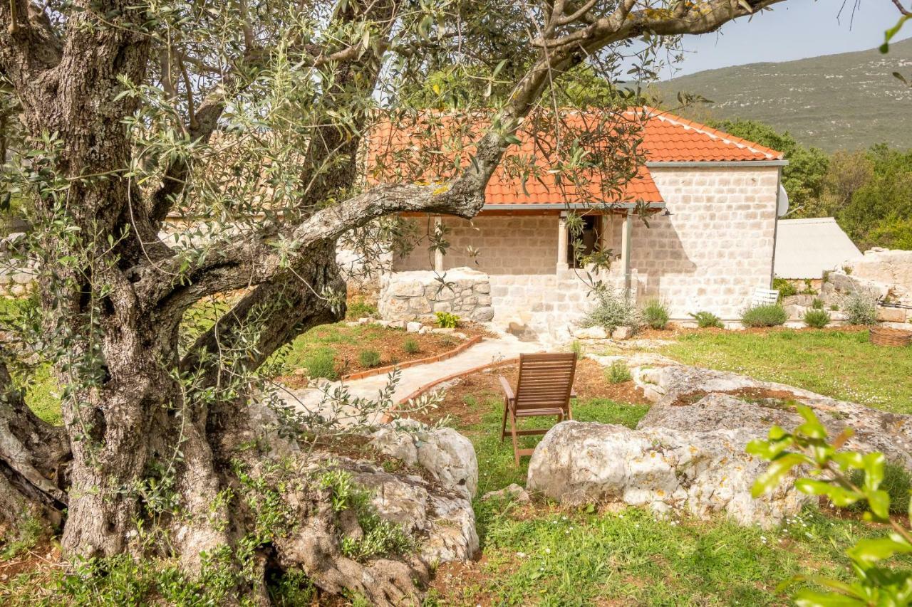 Olive Garden Διαμέρισμα Ston Εξωτερικό φωτογραφία